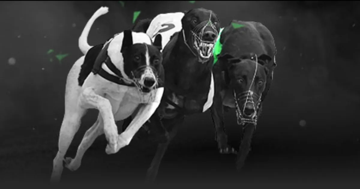 羅新冠病毒,檢測陰性,一周隔離後,万博manbetx体育平台,万博体育官网,万博体育app下载,ManBetX,SPORTS