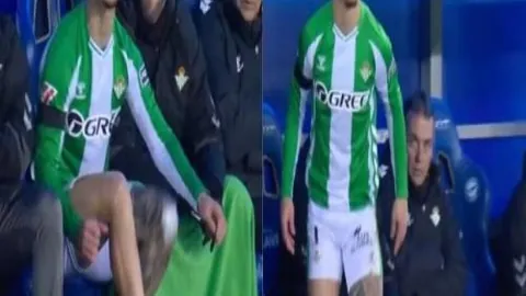 万博manbetx体育平台